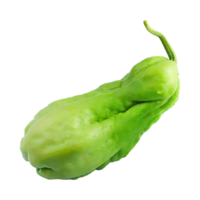 ai generado rebanadas de Fresco chayote, sin sombra, aislado transparente antecedentes png