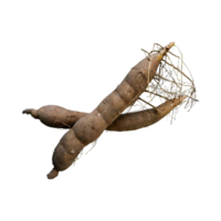 AI generated Floating Of Brown Cassava With Sliced Of Cassava,Earthy, Root ,Isolated Transparent Background png