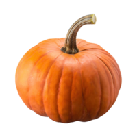 AI generated Floating Of Orange And Brown Pumpkin With A Round Shape With Sliced, Isolated Transparent Background png