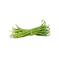 AI generated Bunches Of Fresh Long Beans, Without Shadow, Isolated Transparent Background png