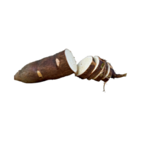 ai généré flottant de marron manioc avec tranché de manioc, terreux, racine ,isolé transparent Contexte png