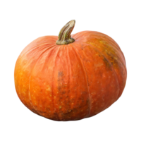 AI generated Floating Of Orange And Brown Pumpkin With A Round Shape With Sliced, Isolated Transparent Background png