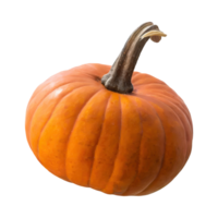 AI generated Floating Of Orange And Brown Pumpkin With A Round Shape With Sliced, Isolated Transparent Background png