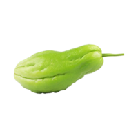 ai generiert Scheiben von frisch Chayote, ohne Schatten, isoliert transparent Hintergrund png