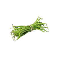 AI generated Bunches Of Fresh Long Beans, Without Shadow, Isolated Transparent Background png