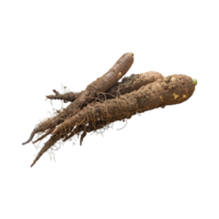 AI generated Floating Of Brown Cassava With Sliced Of Cassava,Earthy, Root ,Isolated Transparent Background png