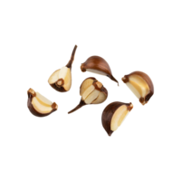 AI generated Slices Of Brown Clove Of Garlic, Without Shadow,  Isolated Transparent Background png