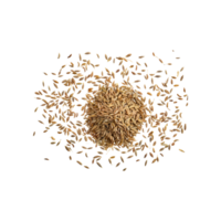 AI generated Handful Of Small Brown Cumin Seeds, Isolated Transparent Background png