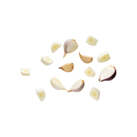 ai generiert Scheiben von Knoblauch, ohne Haut, ohne Schatten, isoliert transparent Hintergrund png