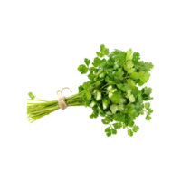 AI generated Bunches Of Dried Green Coriander Leaves, Without Shadow, Isolated Transparent Background png