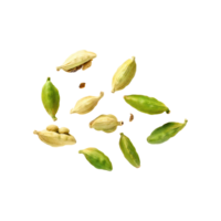 AI generated Floating Of Green Cardamom, Isolated Transparent Background png
