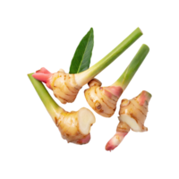 AI generated Floating Of A Slices Galangal, Without Shadow, Isolated Transparent Background png