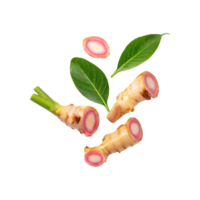 AI generated Floating Of A Slices Galangal, Without Shadow, Isolated Transparent Background png