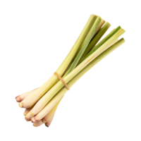 AI generated Lemongrass, Without Shadow, Isolated Transparent Background png