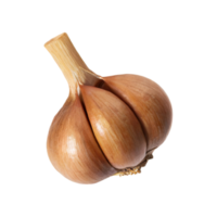 AI generated Slices Of Brown Clove Of Garlic, Without Shadow,  Isolated Transparent Background png