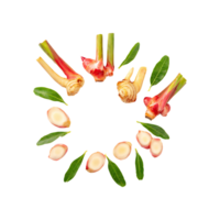 AI generated Floating Of A Slices Galangal, Without Shadow, Isolated Transparent Background png