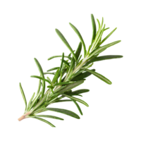 AI generated Floating Of Rosemary, Without Shadow, Isolated Transparent Background png