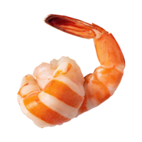 AI generated Floating Of Shrimp Ebi, Without Shadow, Isolated Transparent Background png