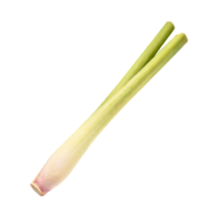 AI generated Lemongrass, Without Shadow, Isolated Transparent Background png