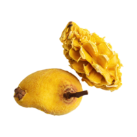 AI generated Floating Of Dried Yellow Mangoesteen, Without Shadow, Isolated Transparent Background png