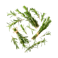 AI generated Floating Of Bunches Rosemary, Without Shadow, Isolated Transparent Background png