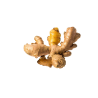 AI generated Bunch Red Ginger With Leaf Of Gringer, Isolated Transparent Background png