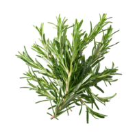 AI generated Floating Of Rosemary, Without Shadow, Isolated Transparent Background png