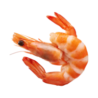 AI generated Floating Of Shrimp Ebi, Without Shadow, Isolated Transparent Background png