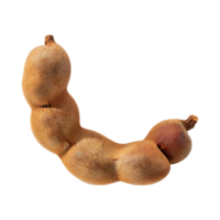 AI generated Floating Of One Slice A Tamarind, Without Shadow, Isolated Transparent Background png