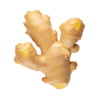 AI generated Floating Of One Aromatic Ginger , Isolated Transparent Background png