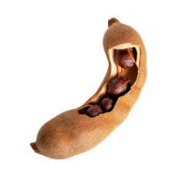 AI generated Floating Of One Slice A Tamarind, Without Shadow, Isolated Transparent Background png