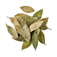 AI generated Floating Of Bunch Dried Bay Leaf , Without Shadow, Isolated Transparent Background png