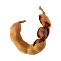 AI generated Floating Of One Slice A Tamarind, Without Shadow, Isolated Transparent Background png