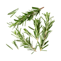 AI generated Floating Of Rosemary, Without Shadow, Isolated Transparent Background png