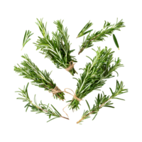 AI generated Floating Of Bunches Rosemary, Without Shadow, Isolated Transparent Background png