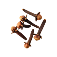 AI generated Floating Of Clove, Without Shadow, Isolated Transparent Background png