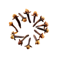 AI generated Floating Of Clove, Without Shadow, Isolated Transparent Background png