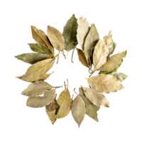 AI generated Floating Of Bunch Dried Bay Leaf , Without Shadow, Isolated Transparent Background png