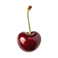AI generated Floating Of One Cutcherry, Without Shadow, Isolated Transparent Background png