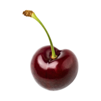 AI generated Floating Of One Cutcherry, Without Shadow, Isolated Transparent Background png