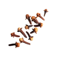 AI generated Floating Of Clove, Without Shadow, Isolated Transparent Background png