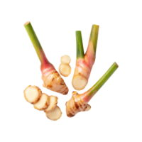 AI generated Floating Of A Slices Galangal, Without Shadow, Isolated Transparent Background png