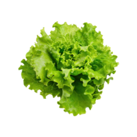 ai generiert schwebend von einer frisch Grün Kopfsalat, ohne Schatten, isoliert transparent Hintergrund png