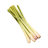 AI generated Lemongrass, Without Shadow, Isolated Transparent Background png