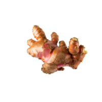 AI generated Bunch Red Ginger With Leaf Of Gringer, Isolated Transparent Background png