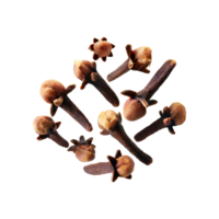 AI generated Floating Of Clove, Without Shadow, Isolated Transparent Background png