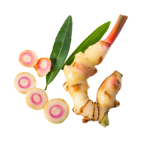AI generated Floating Of A Slices Galangal, Without Shadow, Isolated Transparent Background png