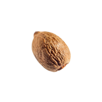 AI generated Floating Of Bunches Nutmeg, Without Shadow, Isolated Transparent Background png