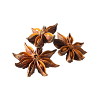 AI generated Star Anise, Without Shadow, Isolated Transparent Background png