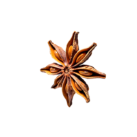 AI generated Star Anise, Without Shadow, Isolated Transparent Background png